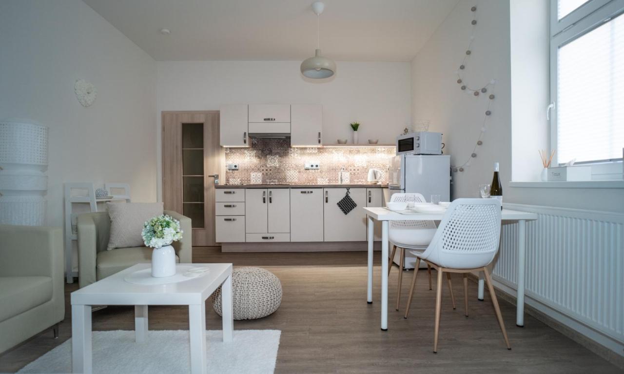 Apartmanovy Dum Sklipek 特鲁特诺夫 外观 照片